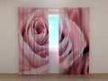 Foto Tende Meravigliosa Rosa Rosa