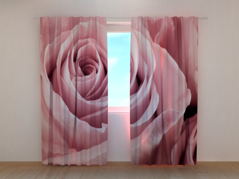 Foto Tende Meravigliosa Rosa Rosa