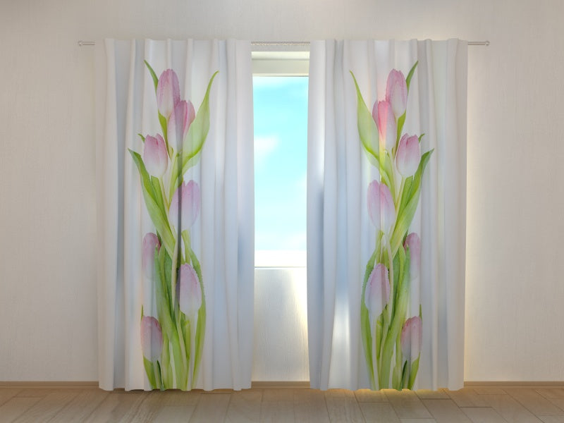 Foto Tende Meravigliosa Tulipani Rosa