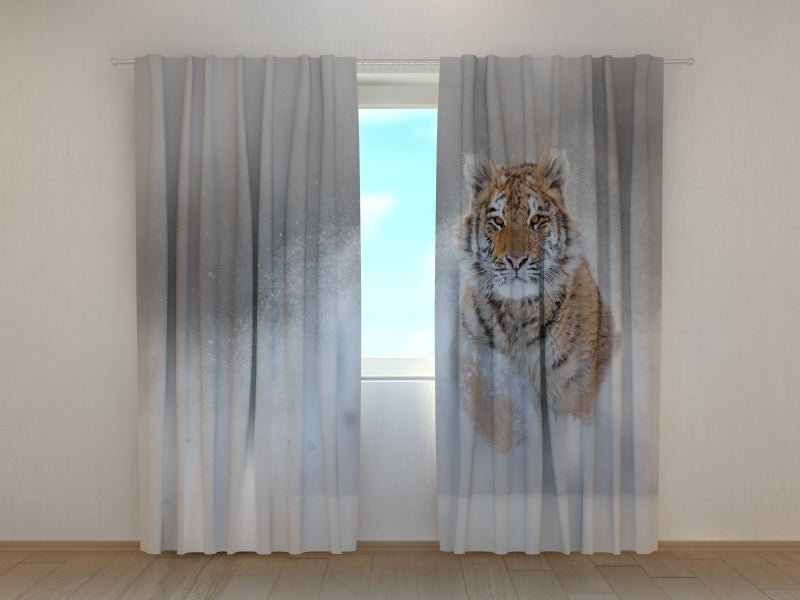 Foto Tende Tigre Dell'Amur