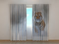 Foto Tende Tigre Dell'Amur