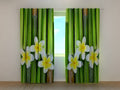 Foto Tende BambC9 e Plumeria
