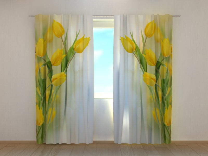 Foto Tende Bei Tulipani Gialli