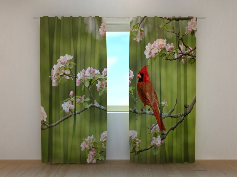 Foto Tende Cardinale Uccello su un Ramoscello di Primavera