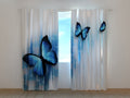 Foto Tende Farfalle Blu