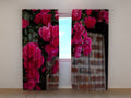 Foto Tende Cespuglio di Rose Rosa sul Muro di Mattoni