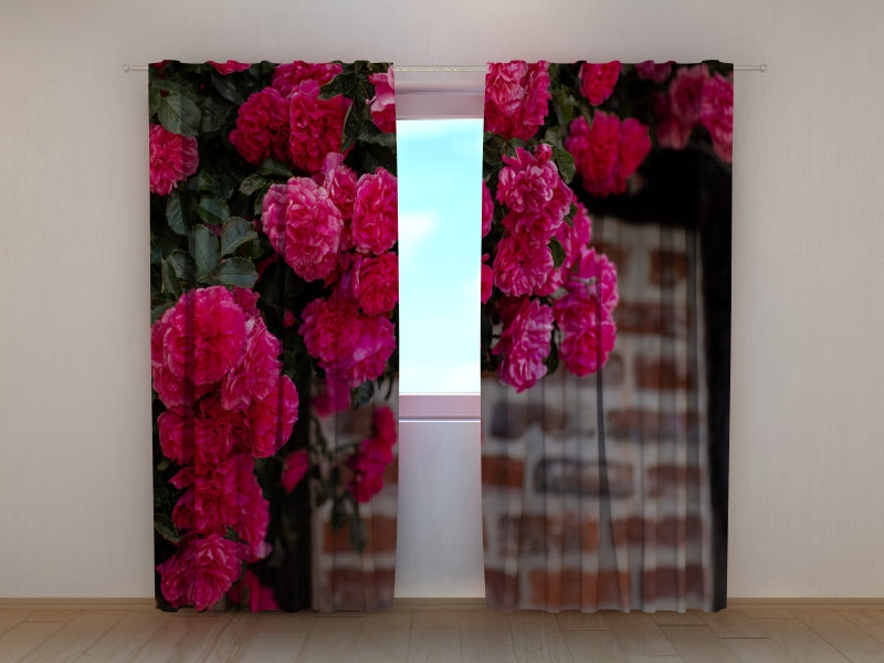 Foto Tende Cespuglio di Rose Rosa sul Muro di Mattoni