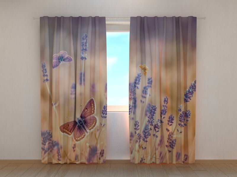 Foto Tende Farfalle sulla Lavanda