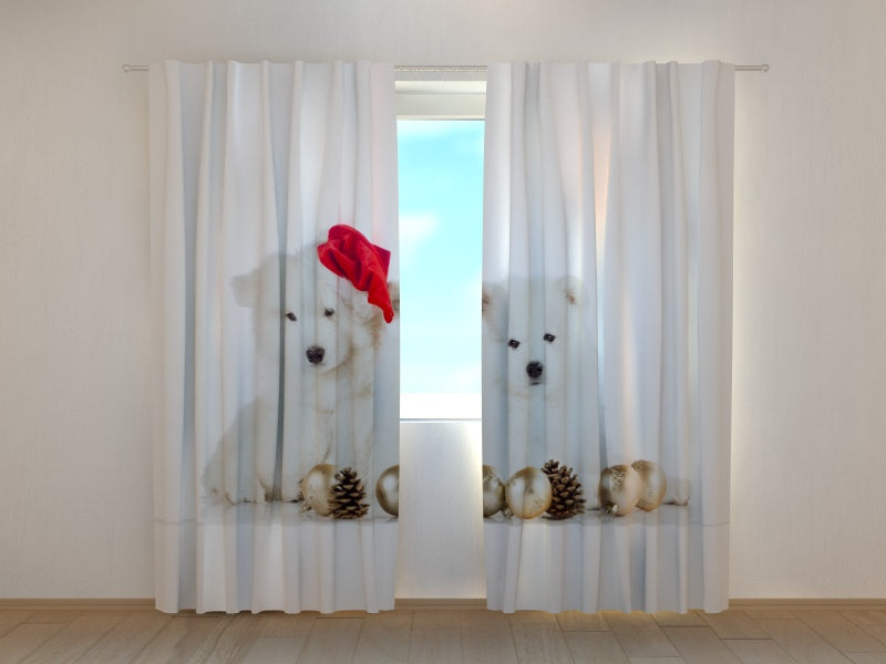 Foto Tende Cuccioli Natalizi