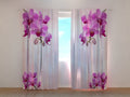Foto Tende ColibrC,  con Orchidee