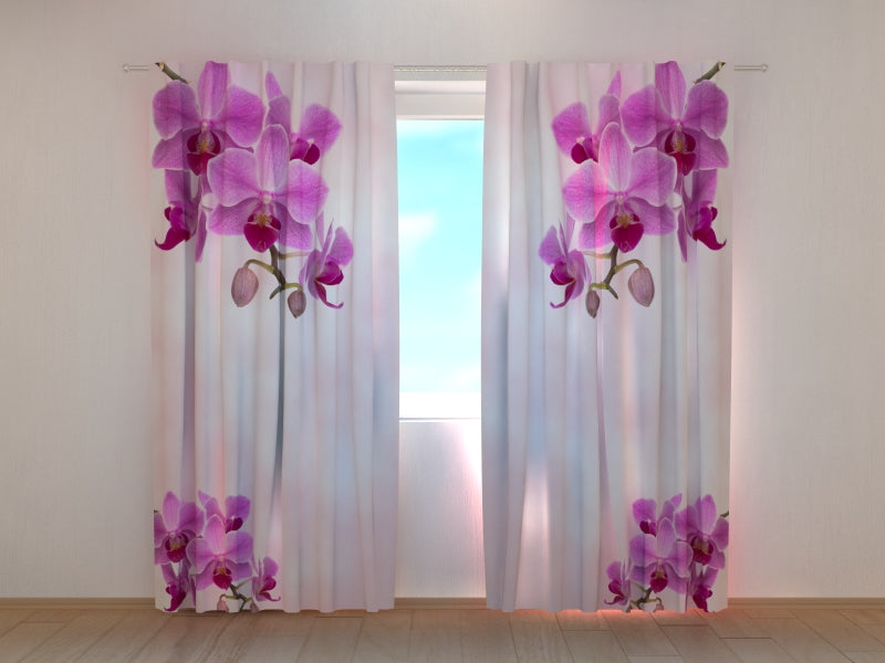 Foto Tende ColibrC,  con Orchidee