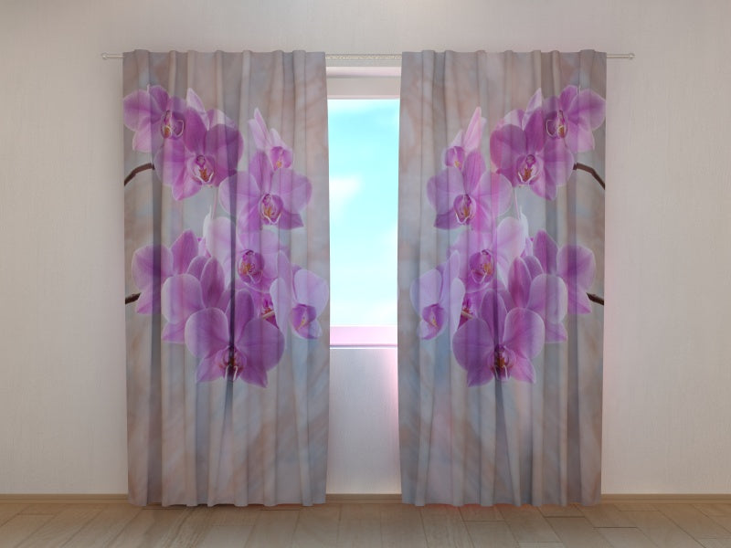Foto Tende ColibrC,  con Orchidee 2