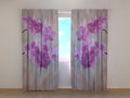 Foto Tende ColibrC,  con Orchidee 2