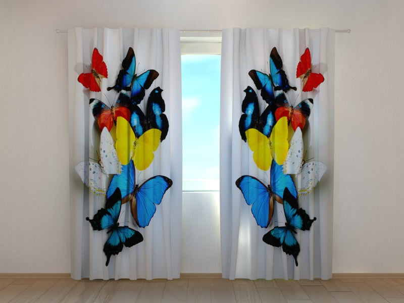 Foto Tende Farfalle Colorate
