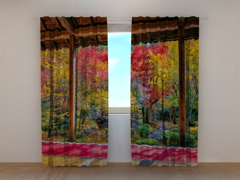 Foto Tende Aceri Giapponesi Colorati