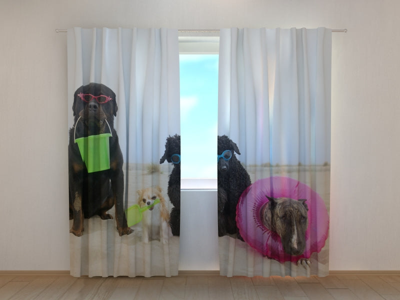 Foto Tende Cani in Appoggio su una Spiaggia