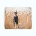 Coperta in Flanella Pinscher nell'Erba Dorata