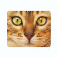 Coperta in Flanella Gatto Rosso