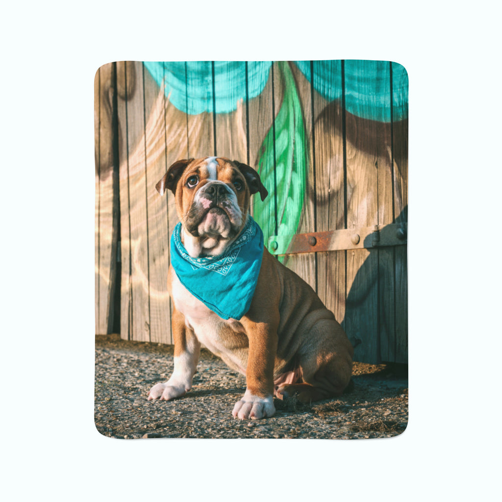 Coperta in Flanella Cucciolo di Bulldog Inglese Elegante