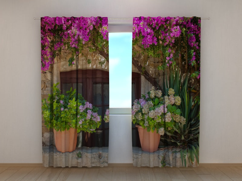 Foto Tende Fiori in Vaso