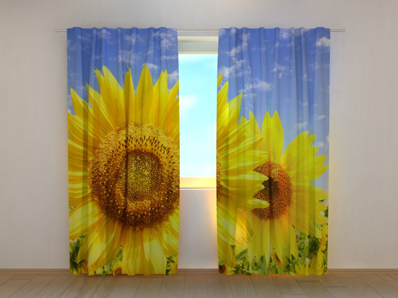 Foto Tende Fiori del Sole