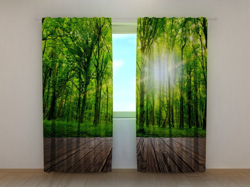 Foto Tende Foresta sulla Soglia