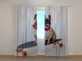 Foto Tende Bulldog Francese su Skateboard