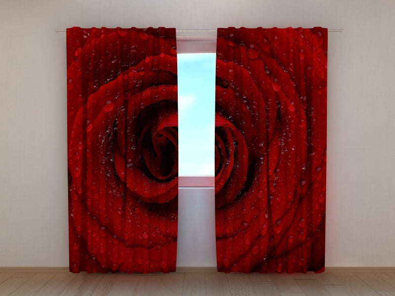 Foto Tende Rosa Rossa Fresca