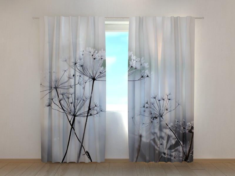 Foto Tende Fiori Ghiacciati