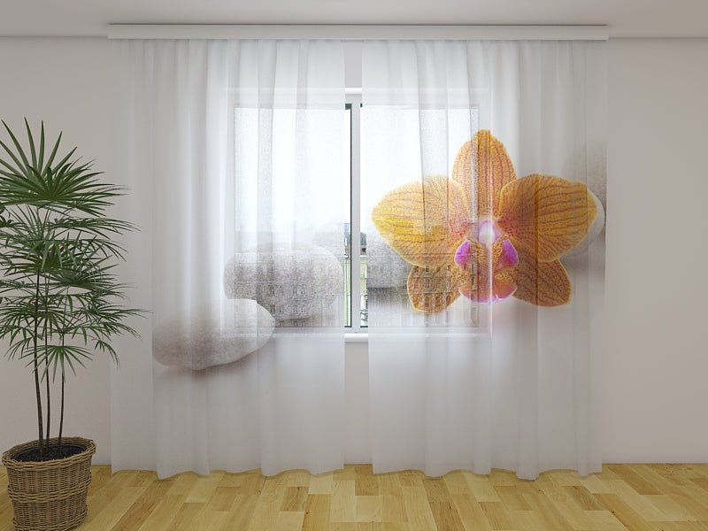 Foto Tende Orchidea Arancione su Pietre Termali