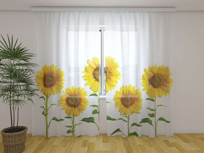 Foto Tende Girasoli Gialli Estivi