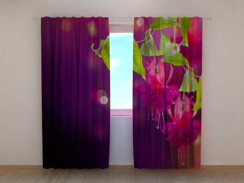 Foto Tende Fiori Fucsia