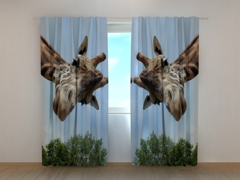 Foto Tende Giraffa