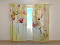 Foto Tende Orchidee Dorate