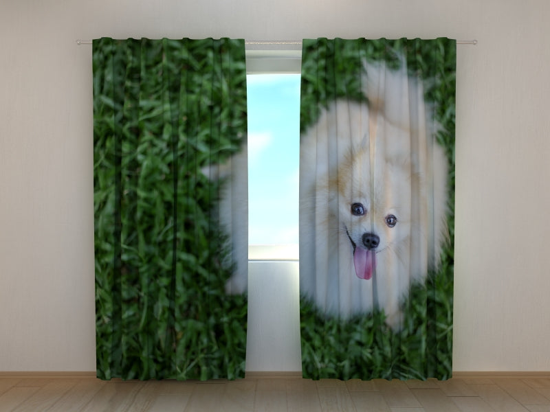 Foto Tende Pomerania Felice
