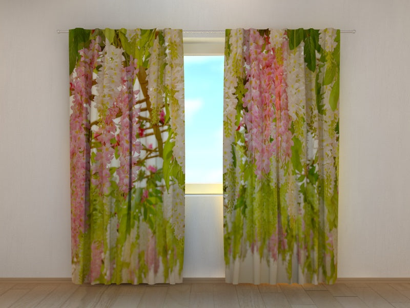 Foto Tende Fiori di Maggiociondolo