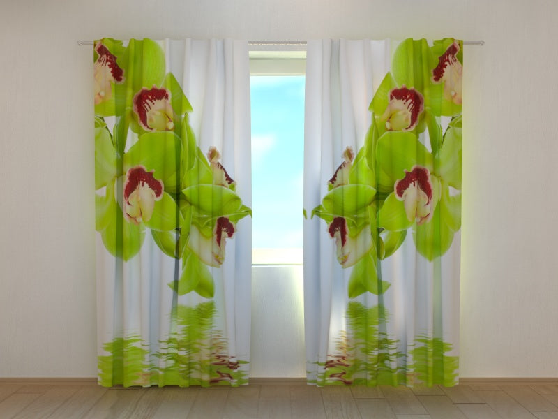 Foto Tende Orchidea Color Lime