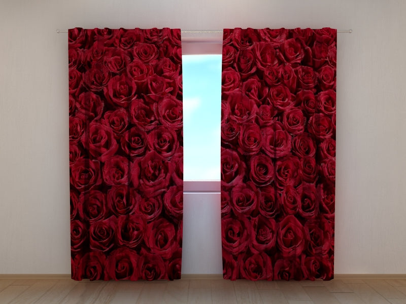 Foto Tende Rose Rosse Preferite