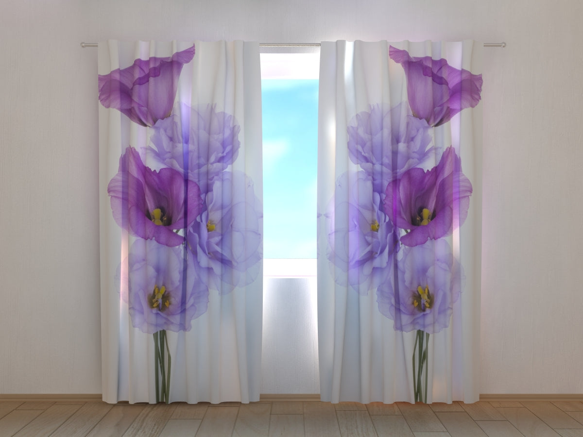 Foto Tende Fiore Muse