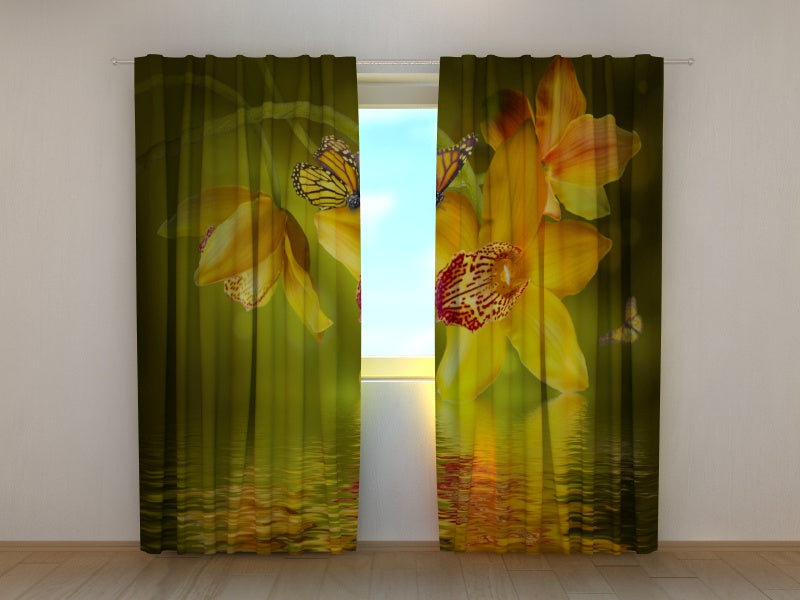 Foto Tende Orchidee Calde