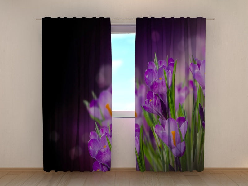 Foto Tende Crocus di Notte