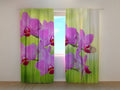 Foto Tende Orchidea Romantica