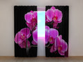 Foto Tende Ramoscello di Orchidea