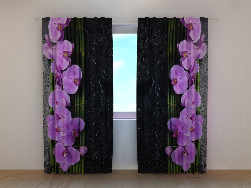 Foto Tende Orchidee su Fondo Nero