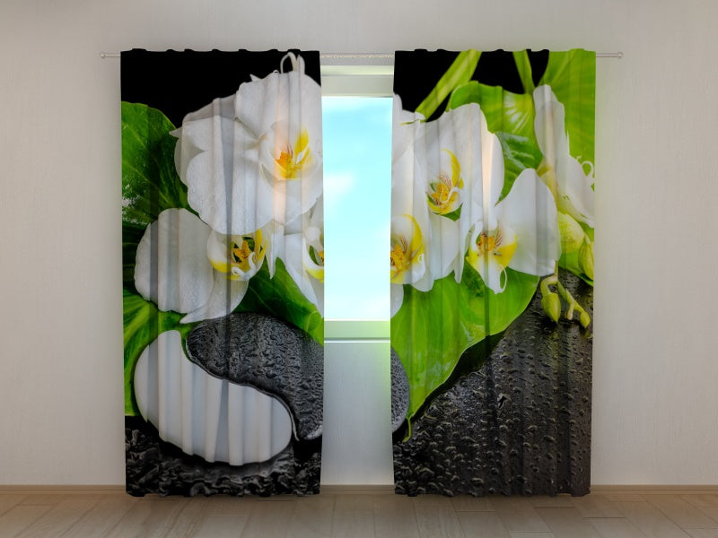 Foto Tende Orchidee con Pietre Yin Yang