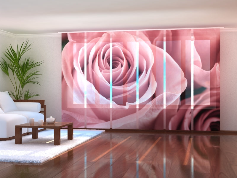 Set di 6 Tende a Pannello Meravigliosa Rosa Rosa