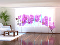 Set di 6 Tende a Pannello Grandi Orchidee