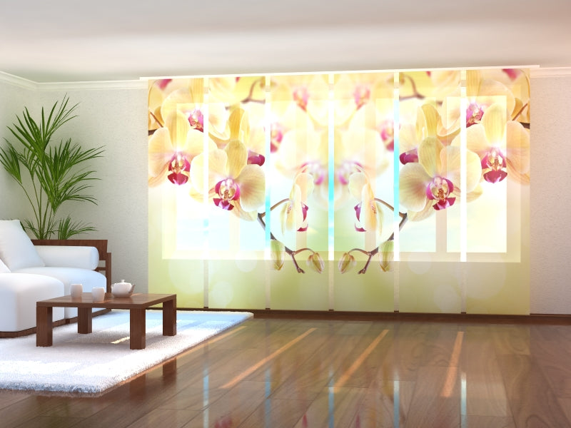 Set di 6 Tende a Pannello Orchidee Dorate