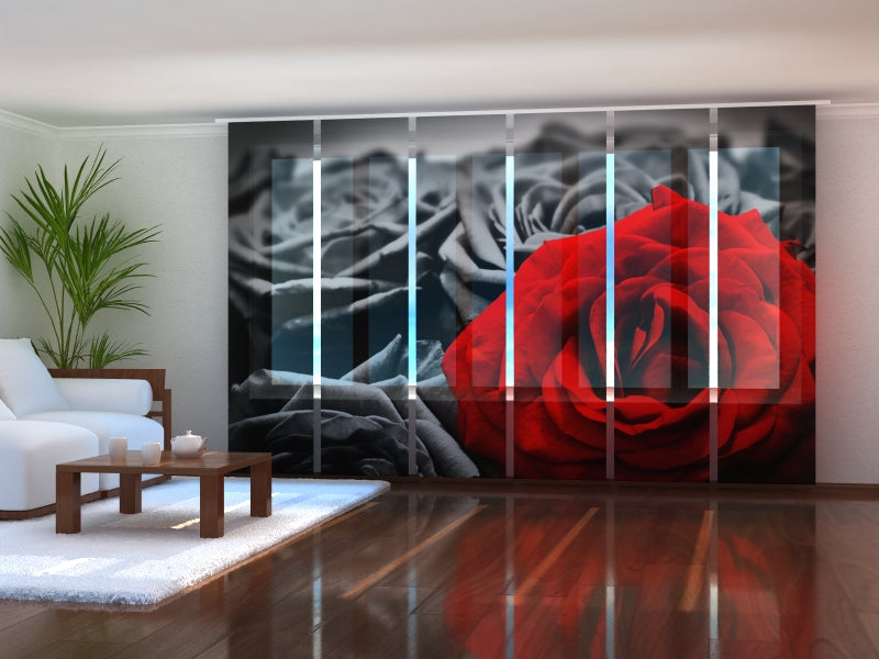 Set di 6 Tende a Pannello Rosa Rossa in Bianco e Nero