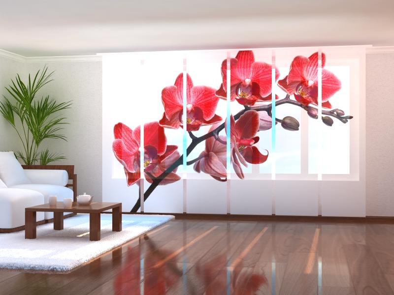 Set di 6 Tende a Pannello Regina delle Orchidee
